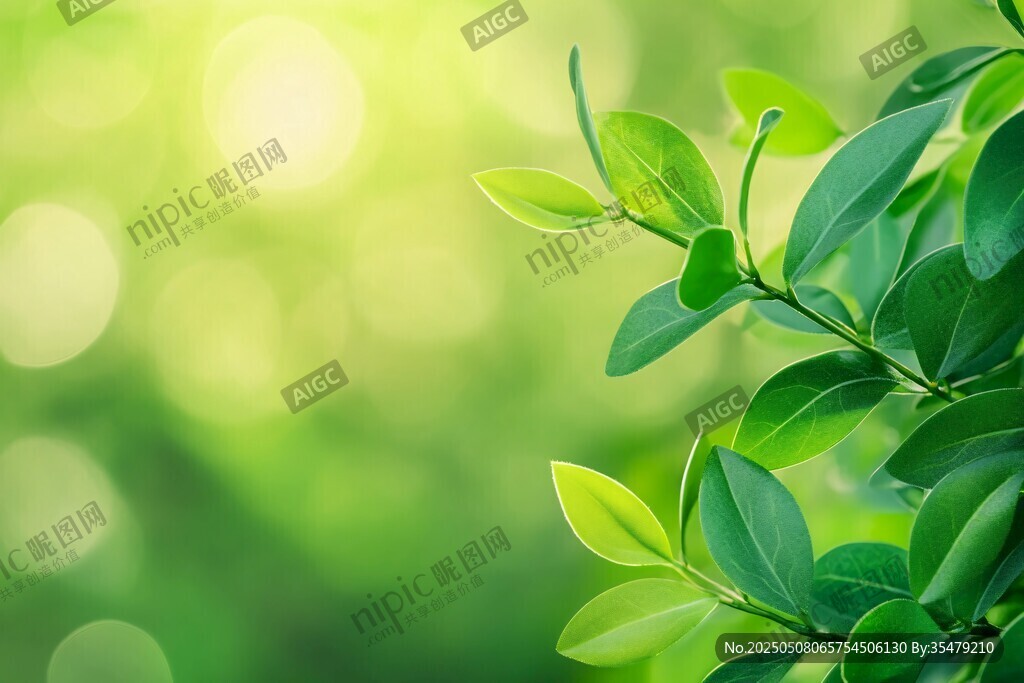 嫩绿枝叶 清新自然景象