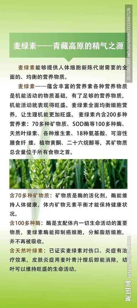 绿色植物营养与生长知识