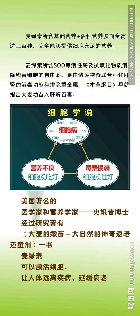 企业组织结构图示例
