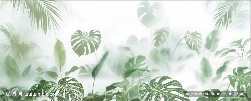 雾气磨砂膜效果绿植贴图