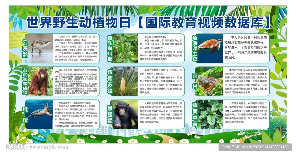 野生植物保护宣传海报