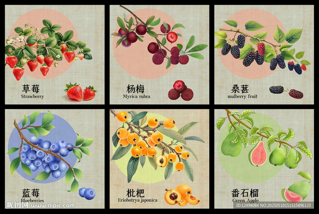  手绘水果 
