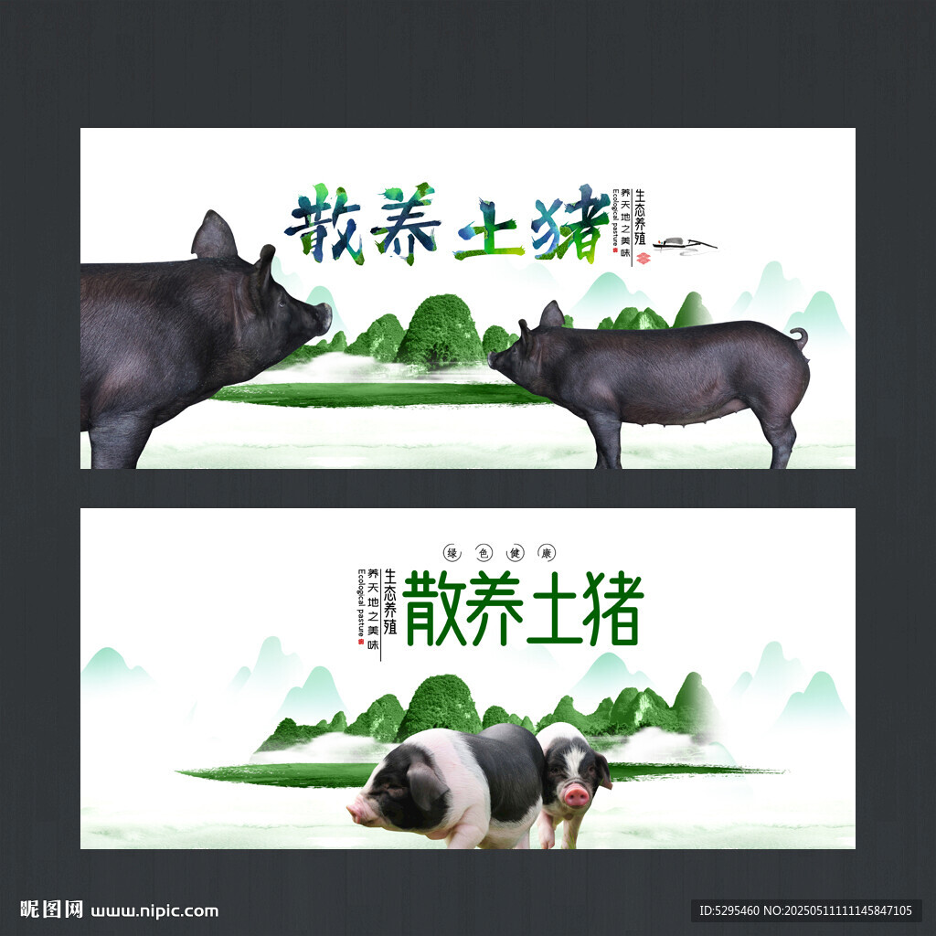 土猪