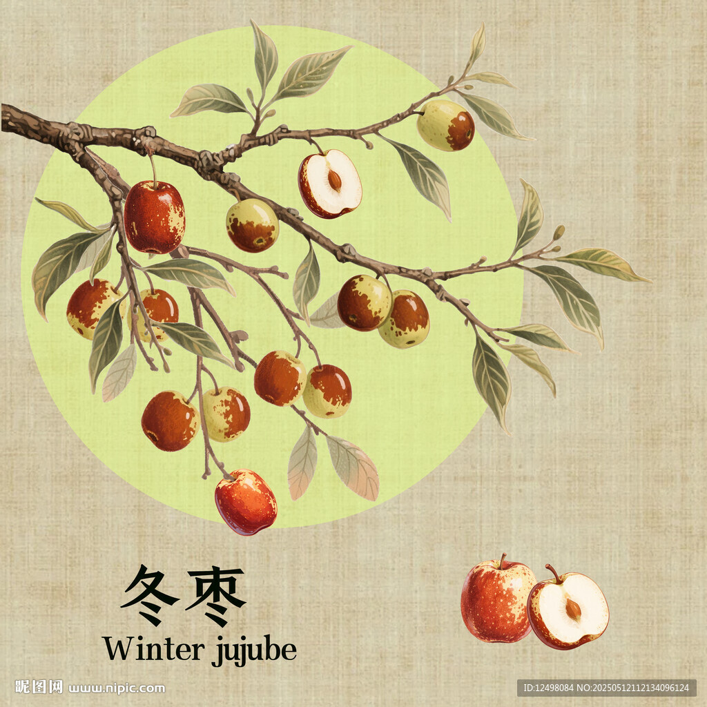 手绘冬枣
