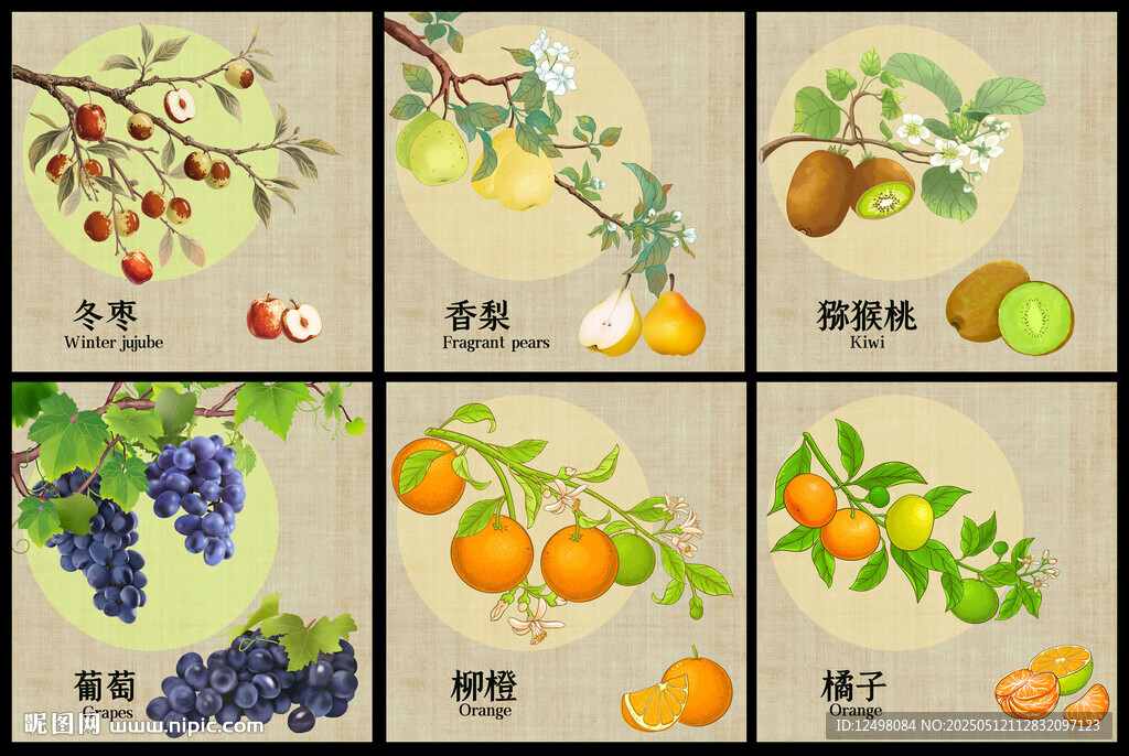 手绘冬季水果
