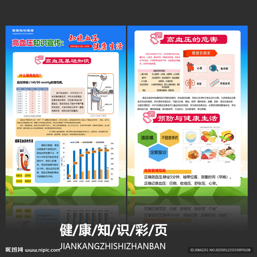 高血压宣传彩页