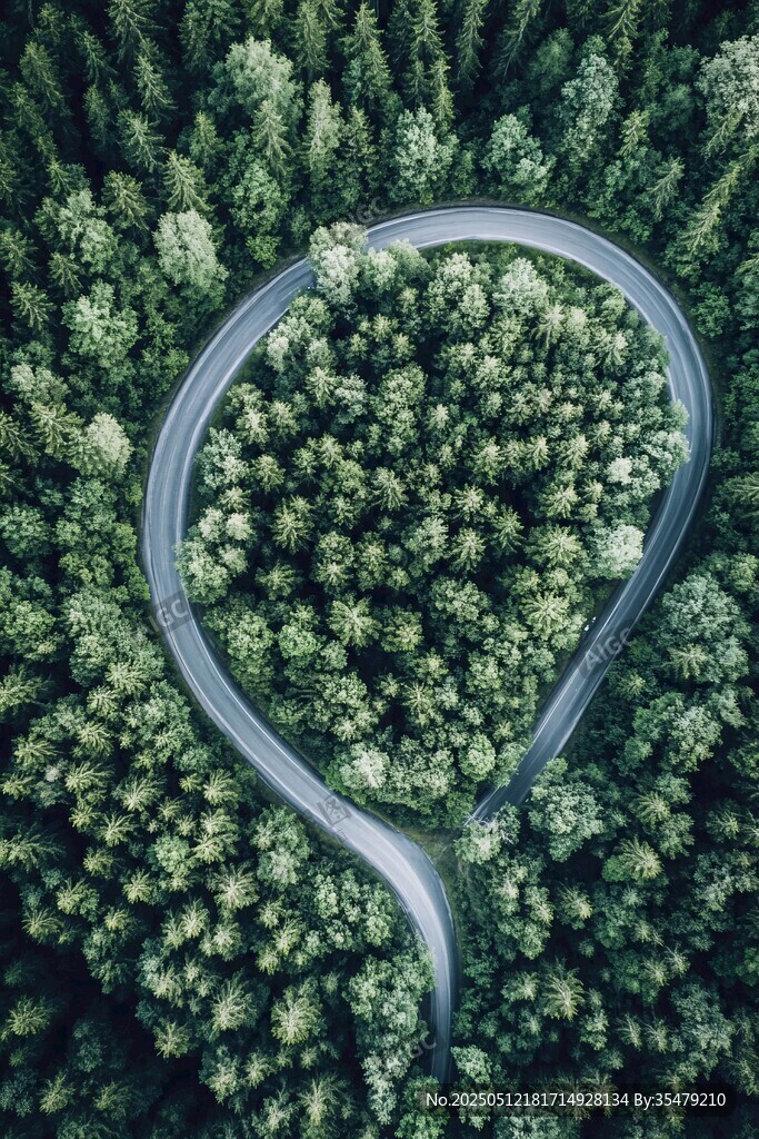 林中蜿蜒公路鸟瞰美景