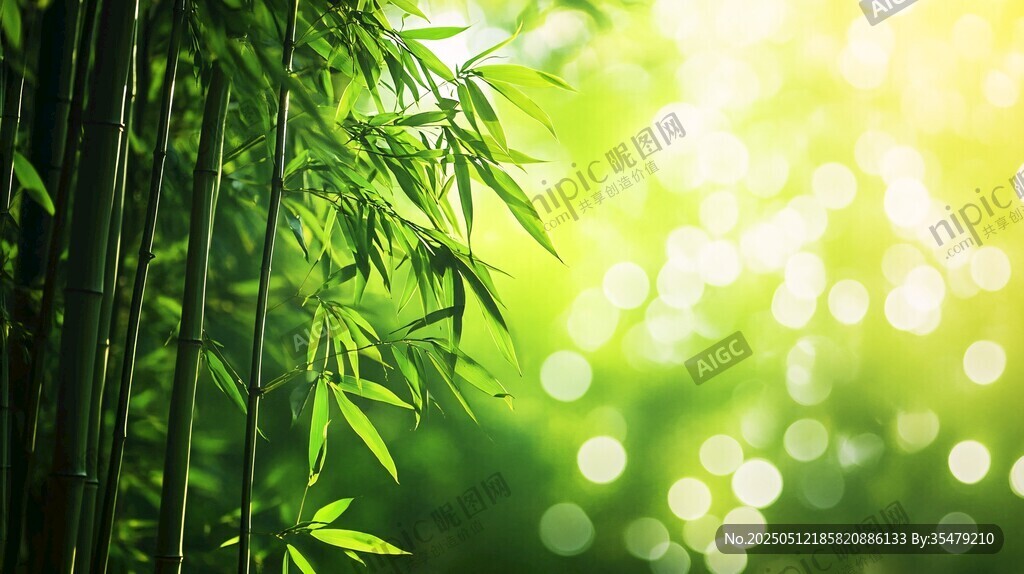 阳光照耀下的翠绿竹林