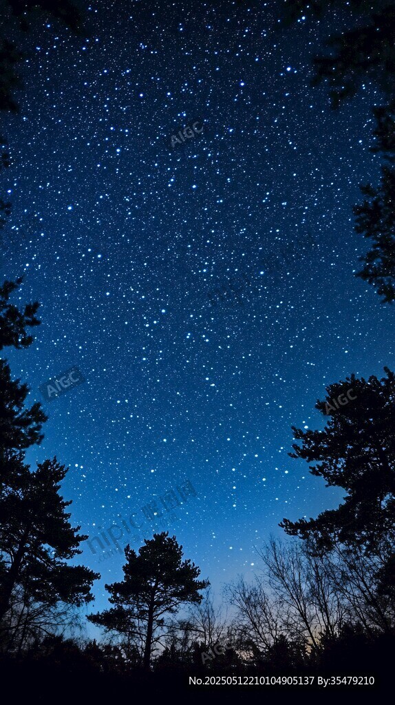 森林之上璀璨星空夜景