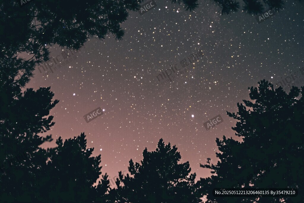 林间夜空繁星闪烁