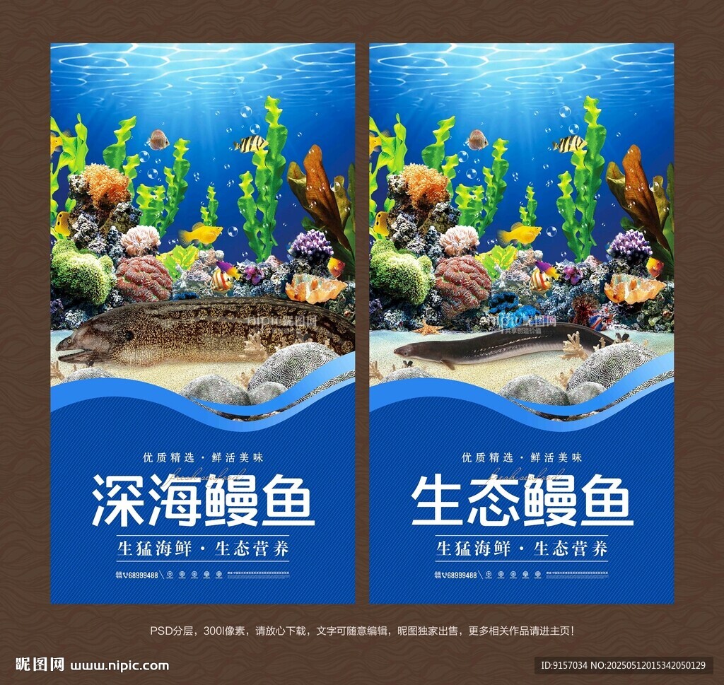 鳗鱼海报