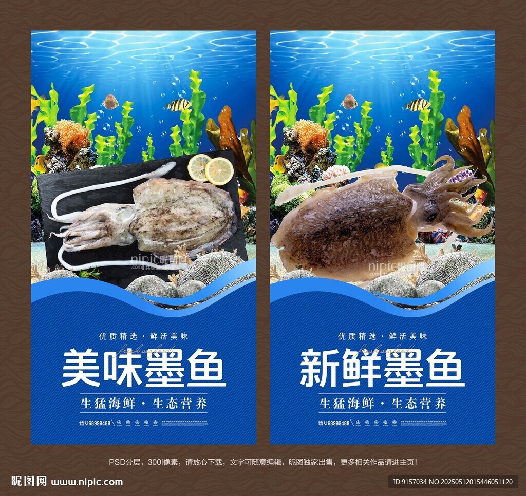 墨鱼