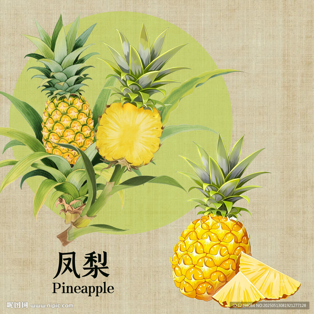 手绘凤梨