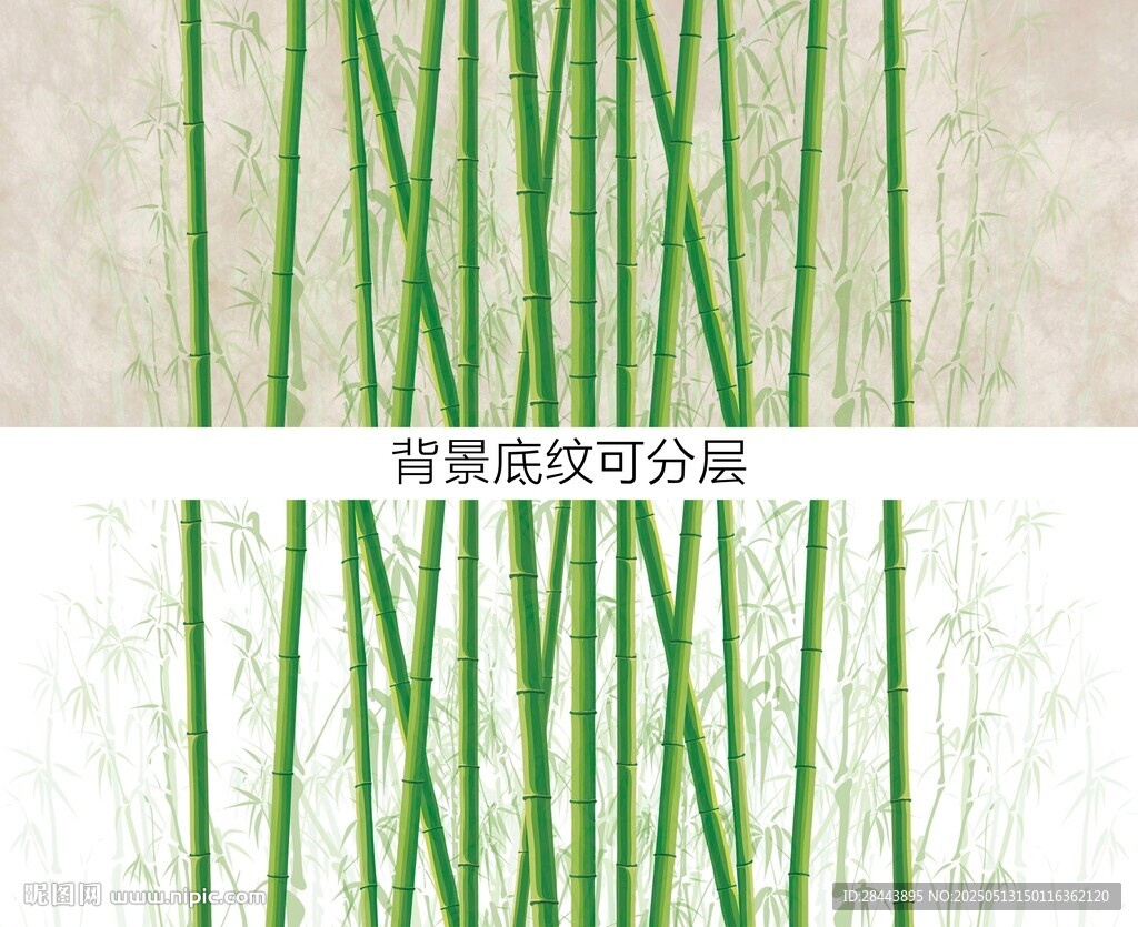 杜邦纸竹子