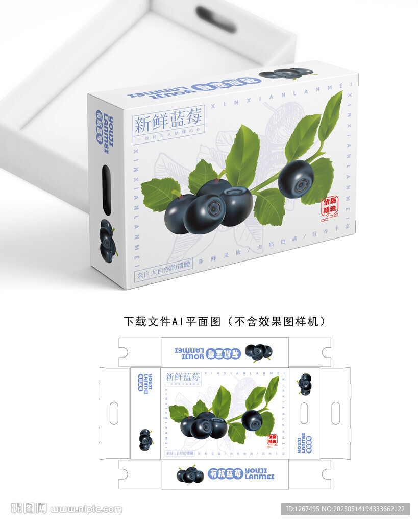 蓝莓礼盒 