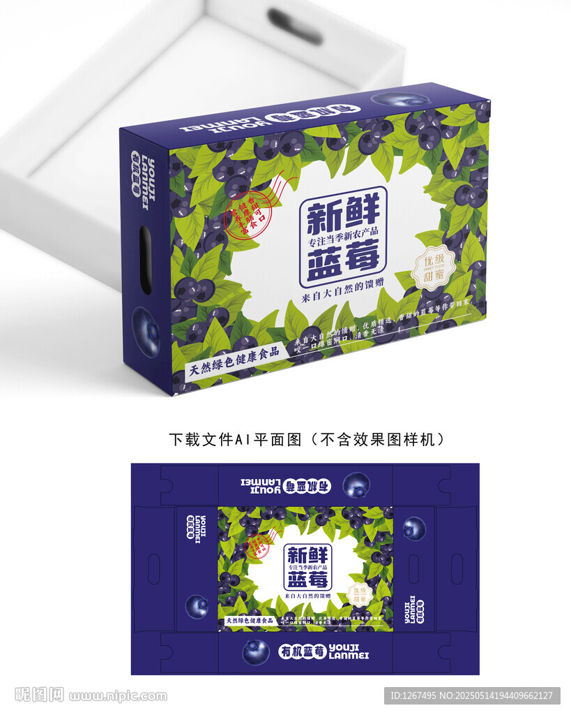 蓝莓包装