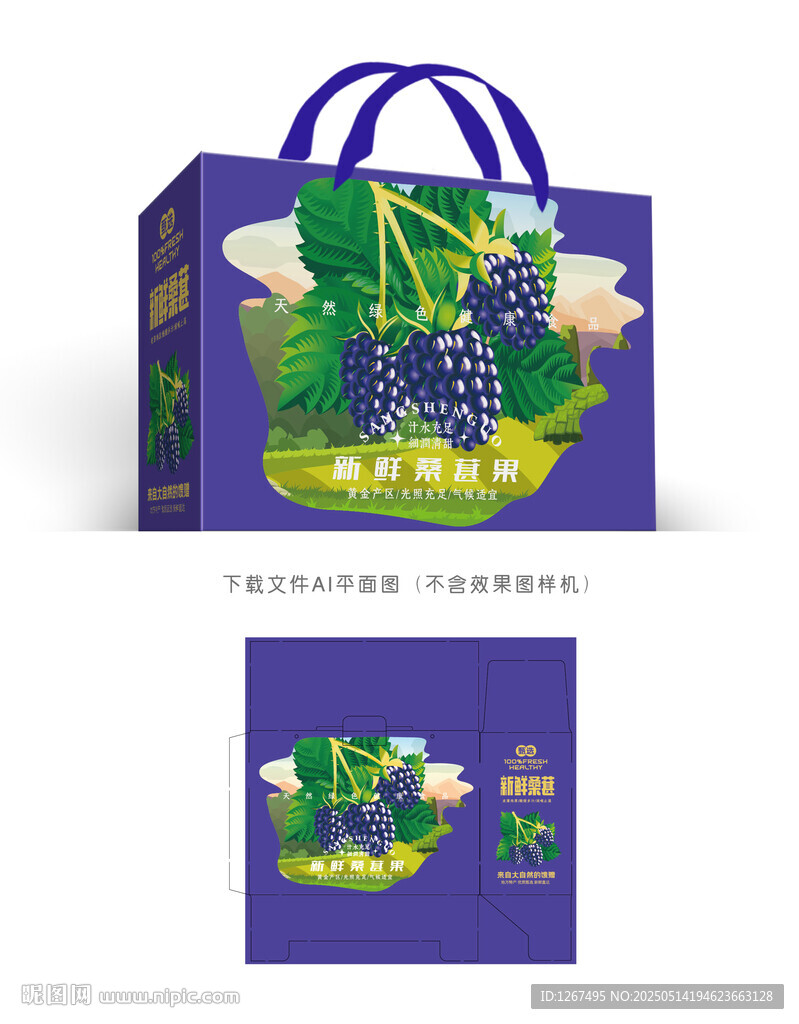 桑葚设计
