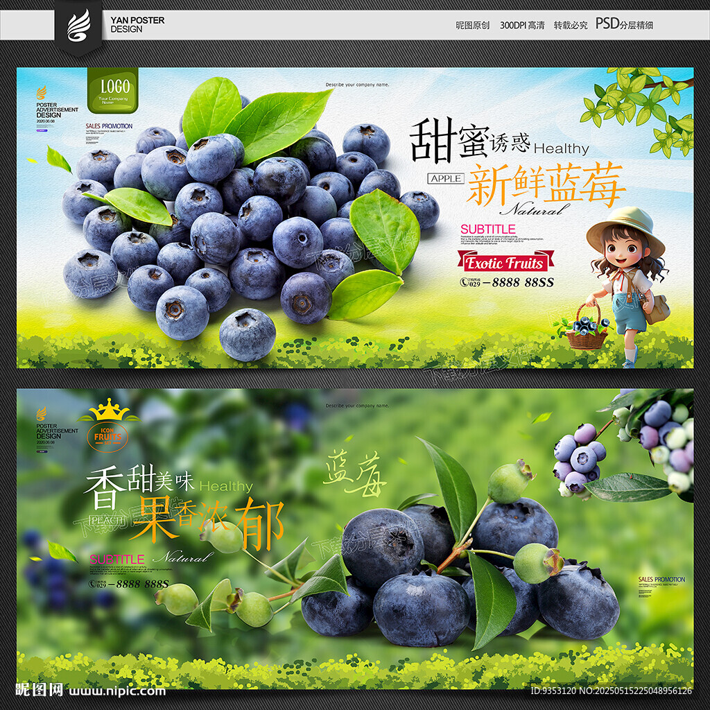 蓝莓