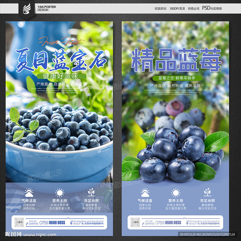 蓝莓海报