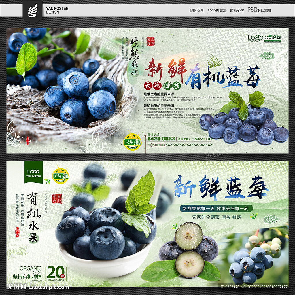 蓝莓海报