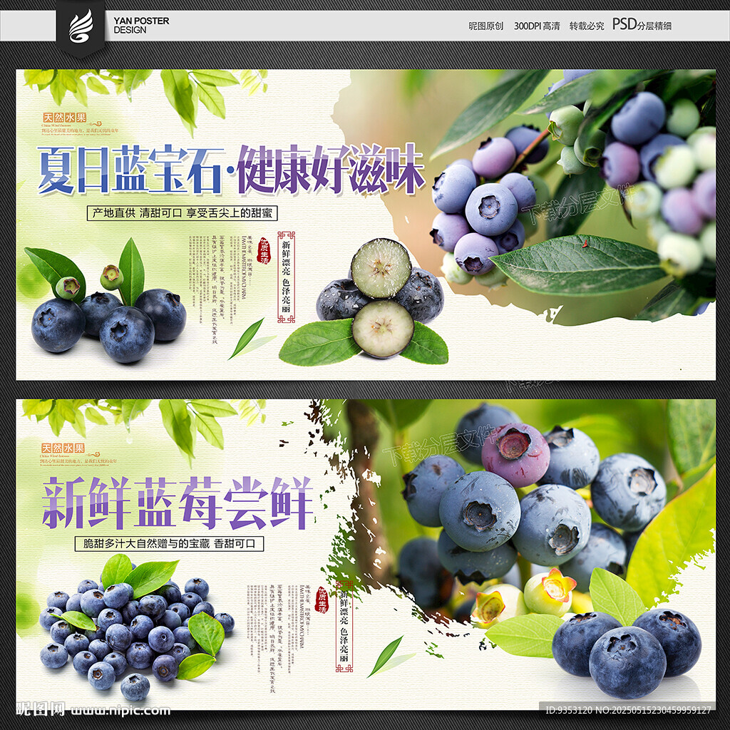 蓝莓海报