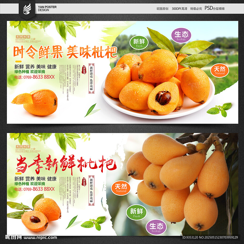 枇杷