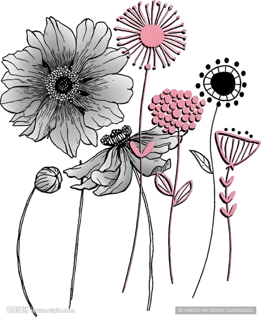 手绘花卉插画