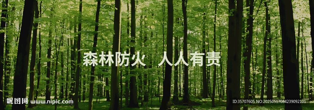 森林防火宣传画面