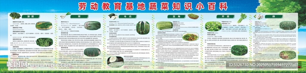 校园劳动教育基地蔬菜知识小百科