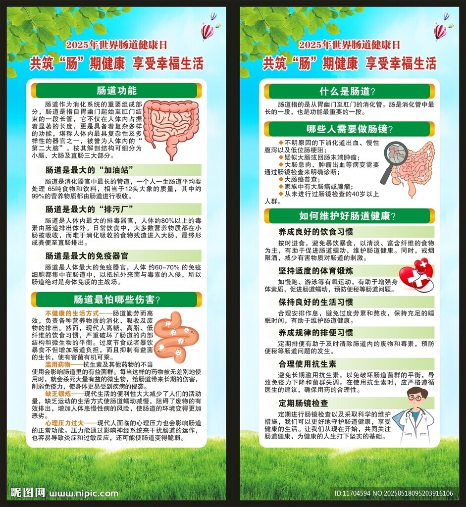 世界肠道健康日展架
