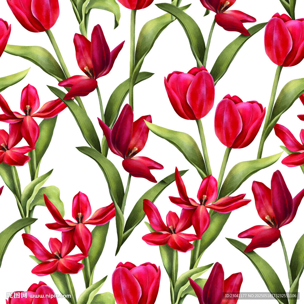 红色郁金香花卉无缝图案