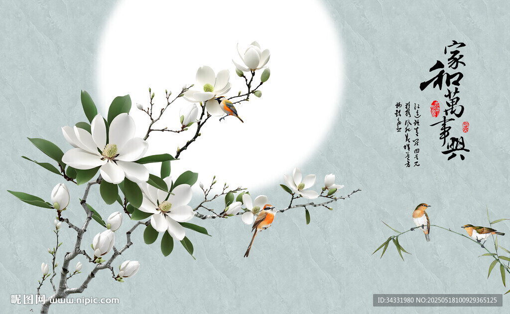 玉兰花
