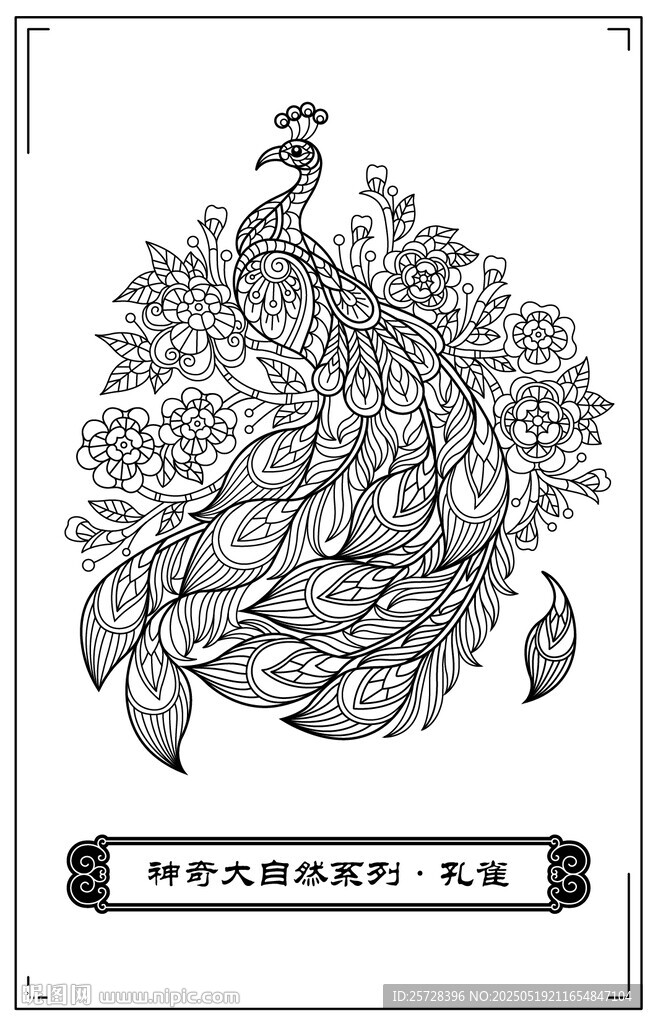 黑白孔雀插画艺术图案