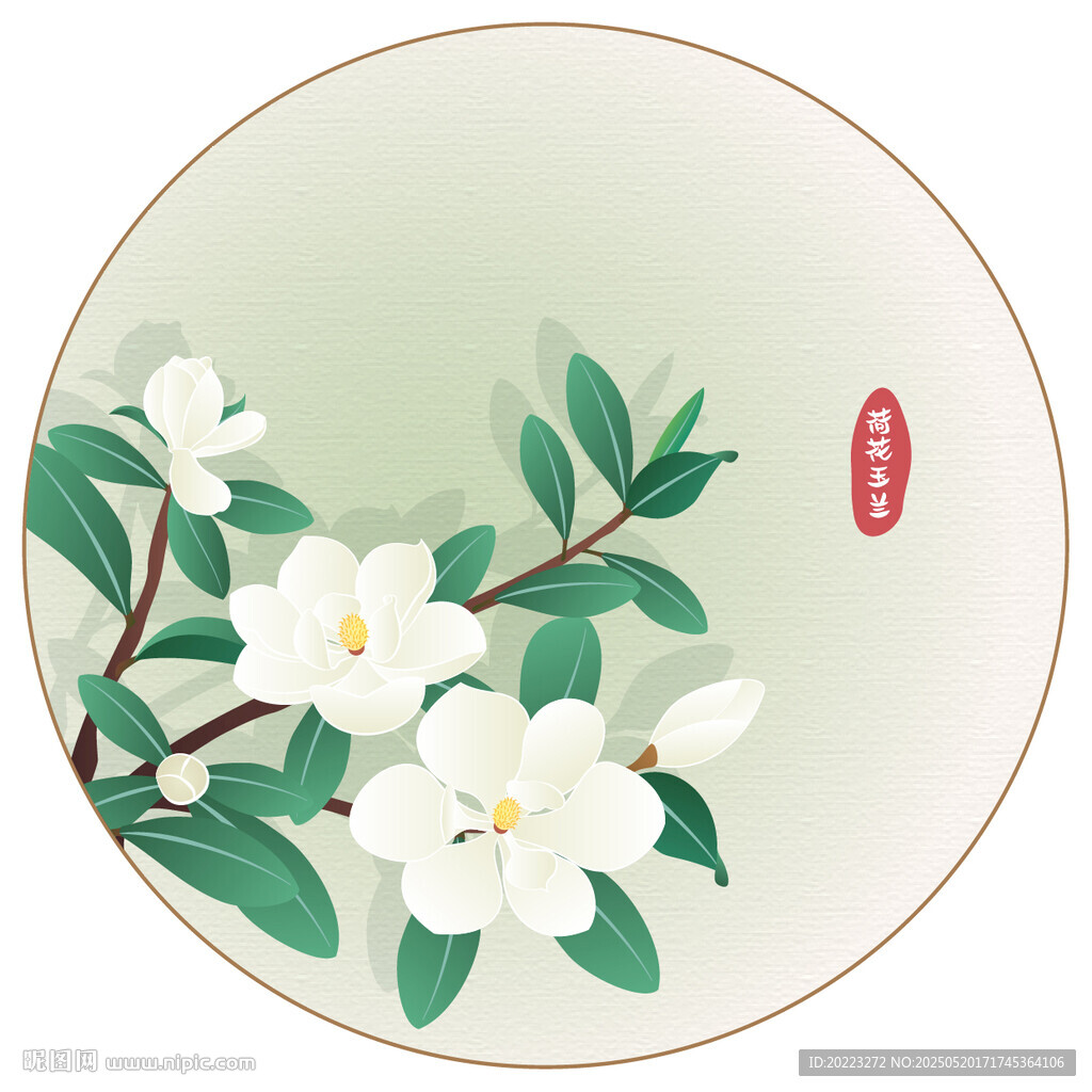 荷花玉兰广玉兰矢量古风插画