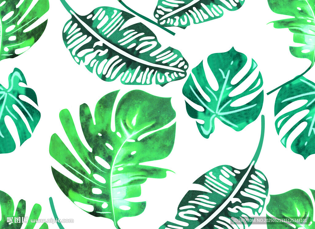 植物