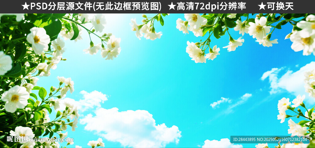 繁花蓝天白云