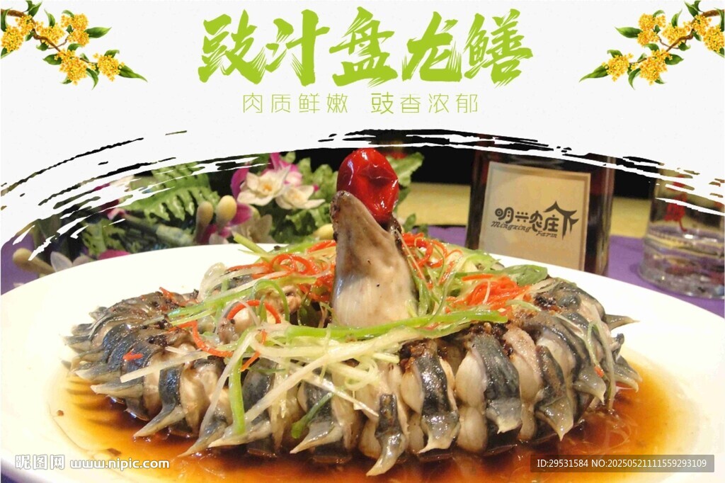 盘龙鳝