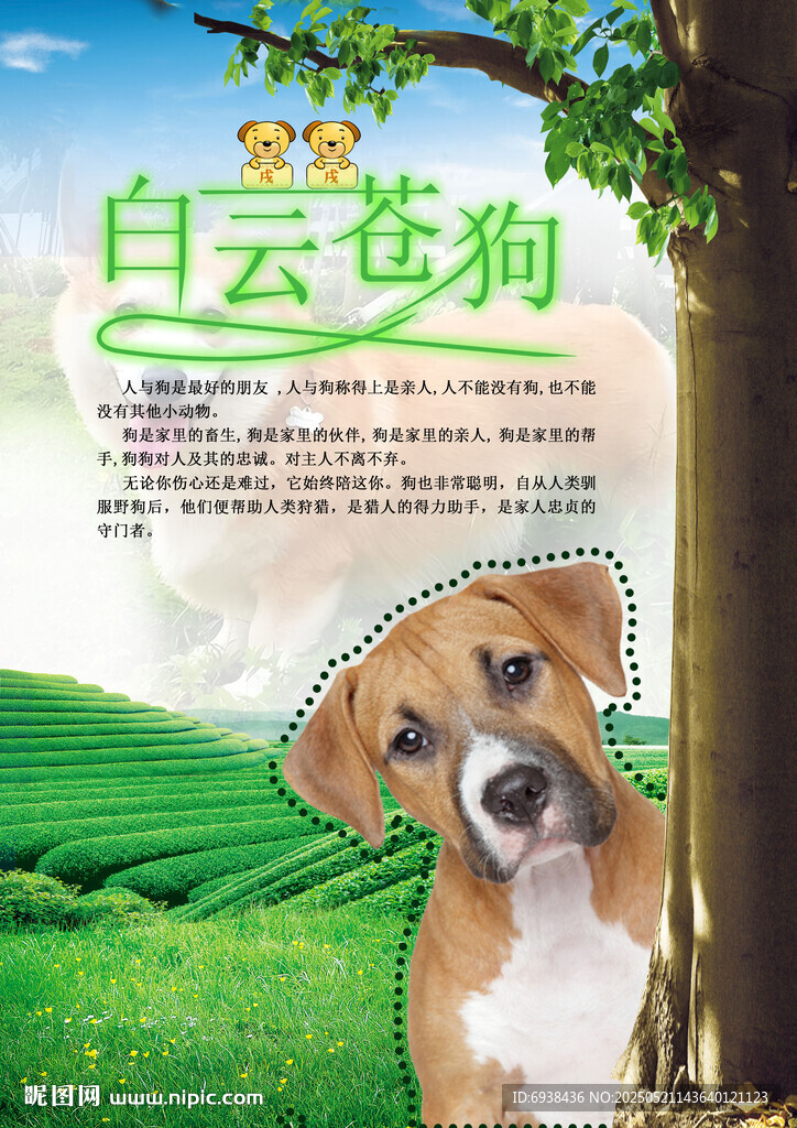 12生肖之狗海报