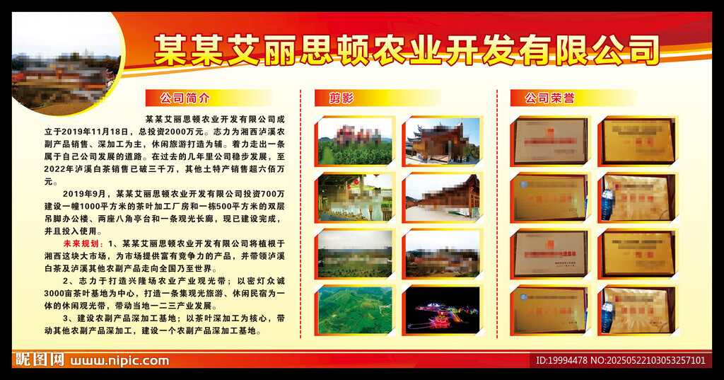 公司简介