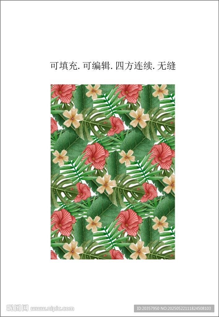 热带花卉 热带风情植物背景