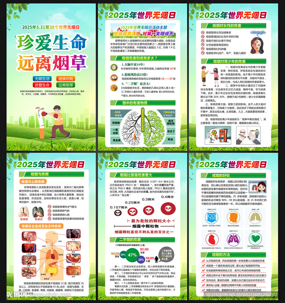 2025年世界无烟日宣传栏