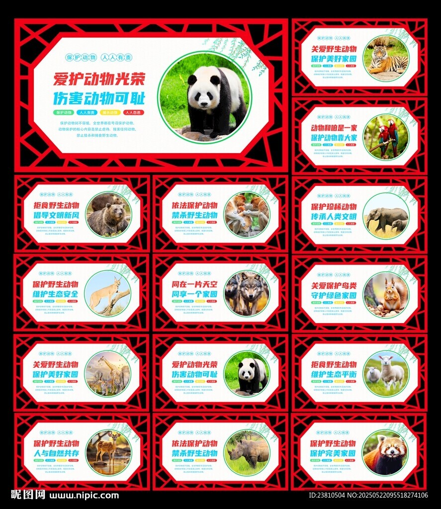 爱护动物