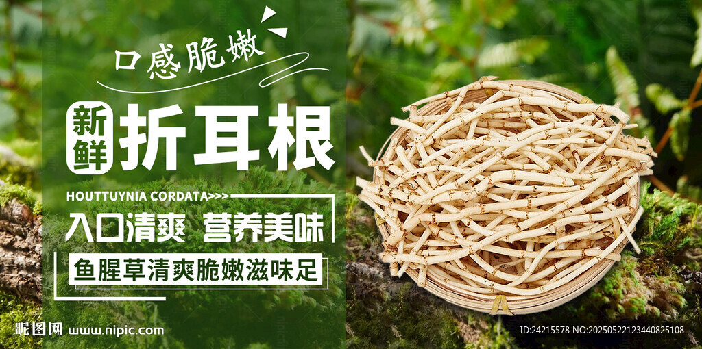 折耳根