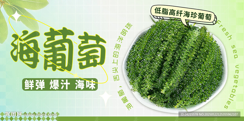 海葡萄