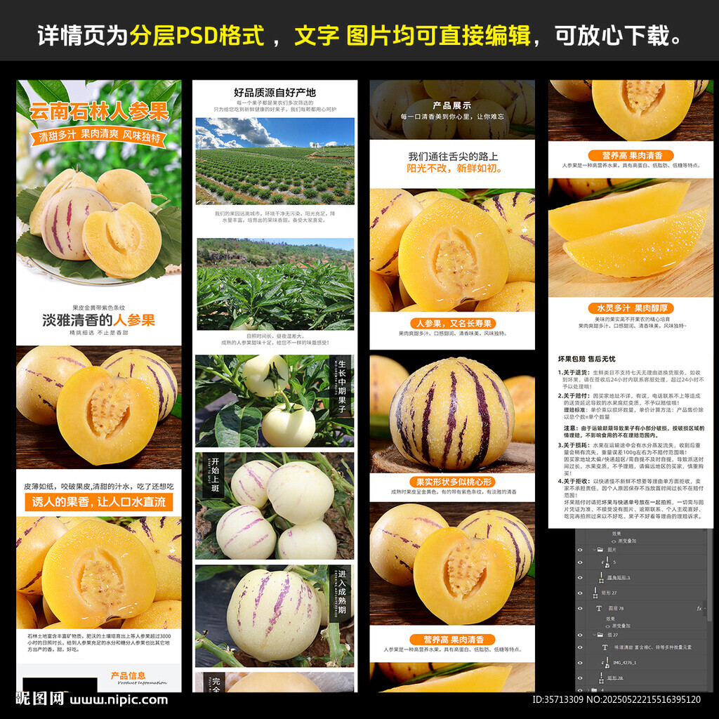人参果品种介绍及特性展示