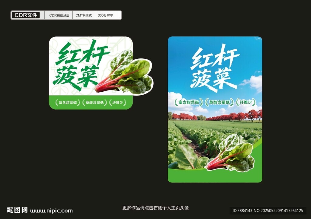 红杆菠菜标签