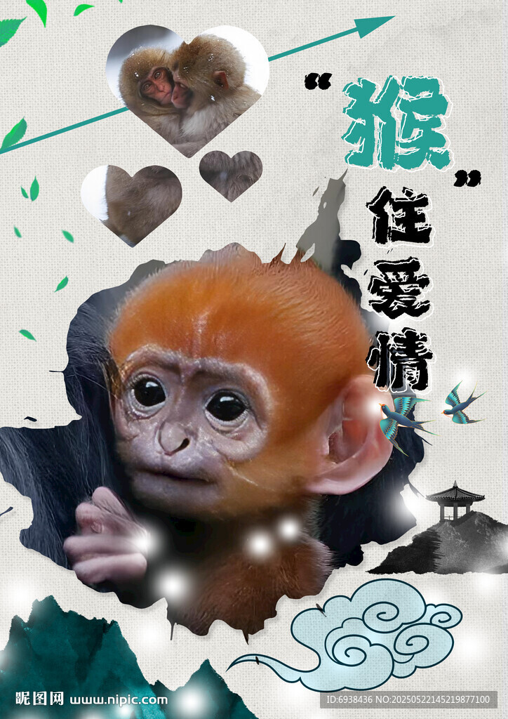 12生肖之猴海报