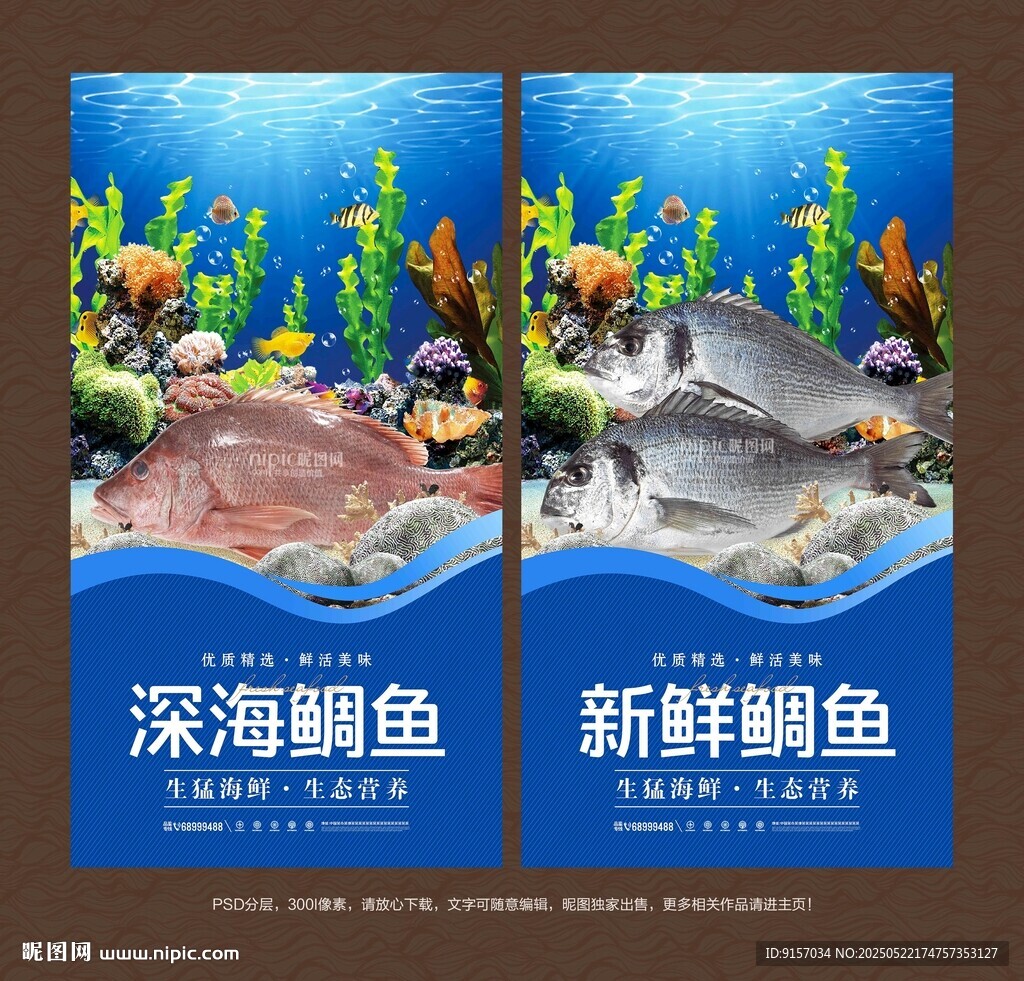 鲷鱼