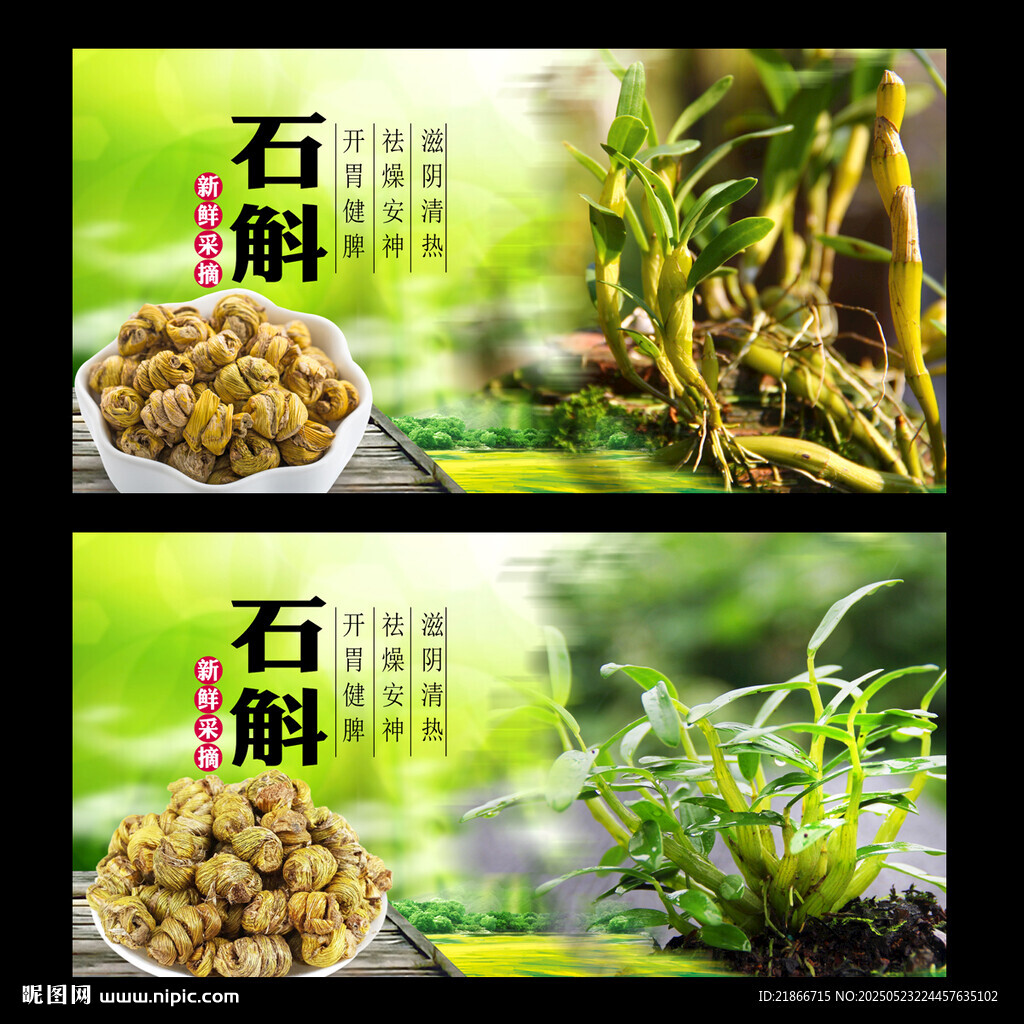 石斛