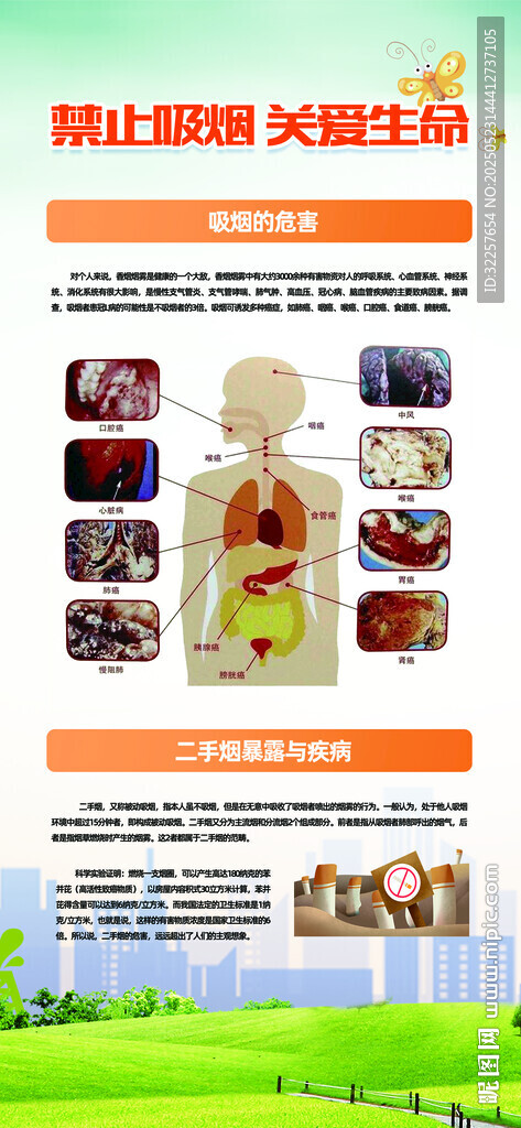 禁烟控烟